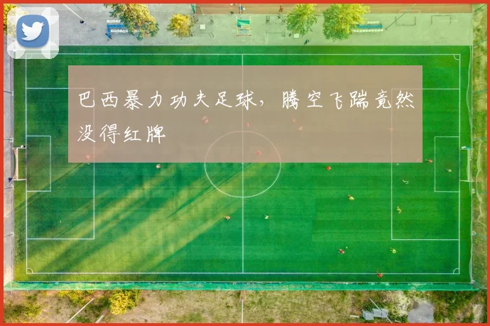 巴西暴力功夫足球，腾空飞踹竟然没得红牌