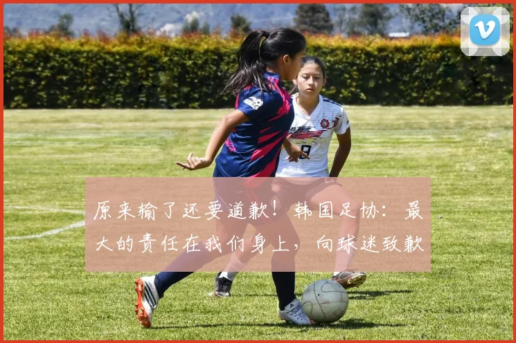 原来输了还要道歉！韩国足协：最大的责任在我们身上，向球迷致歉